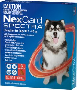 nexgard spectra for dogs 7.6 15kg